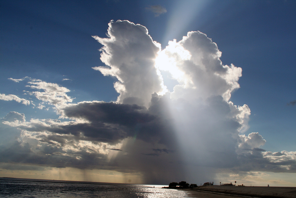 Best Time to Visit Tampa