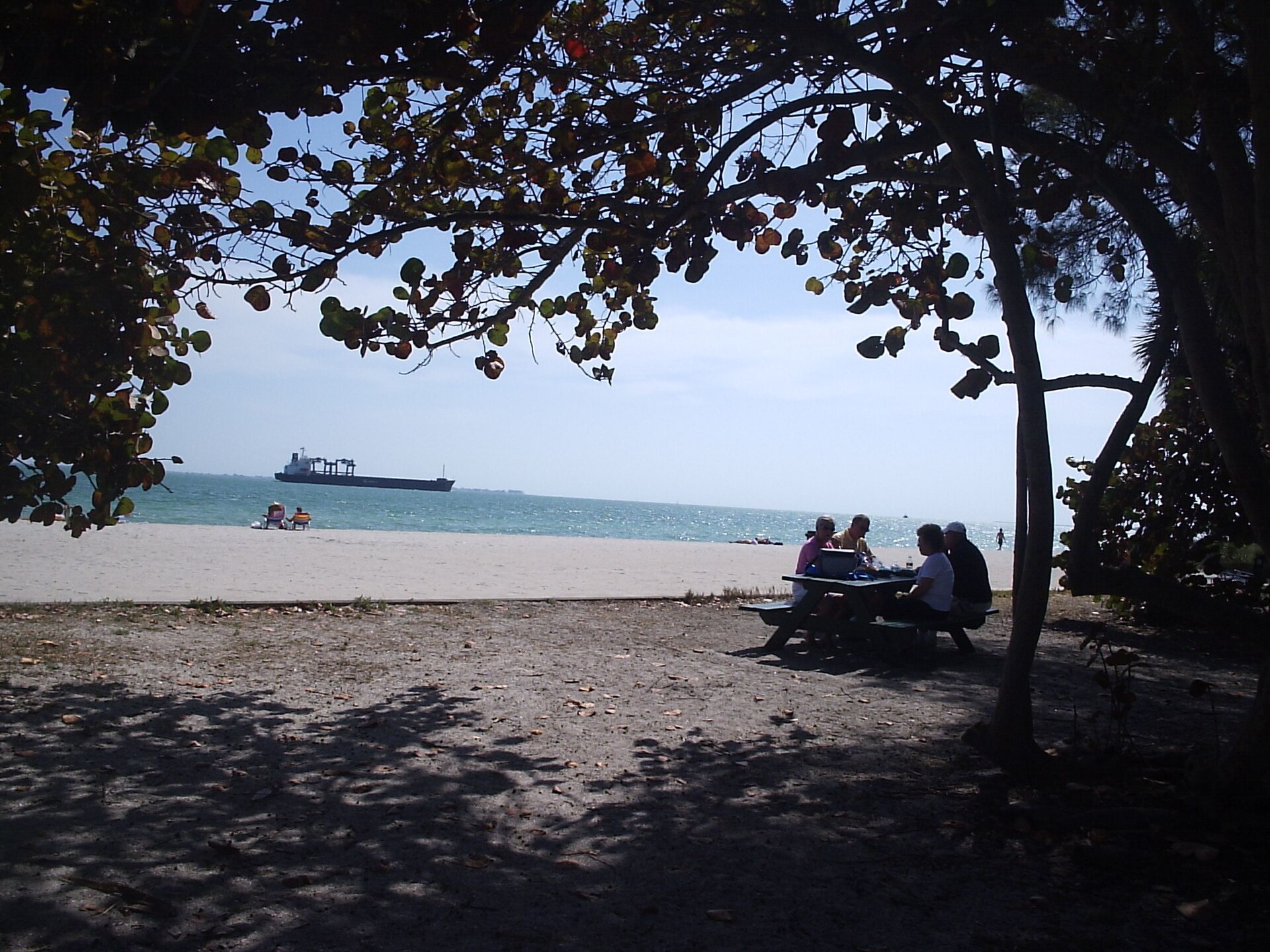 A family at a picnic table in deep shade under sea grape trees at Fort De Soto Park, with white sand, turquoise water and a cargo ship passing on the horizon beyond