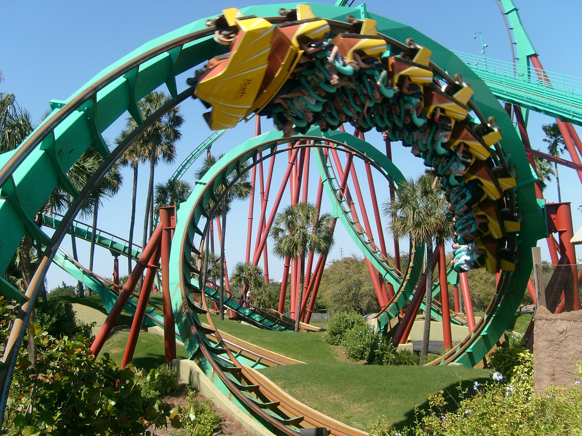 Riders inverted at the top of a vertical loop on the green and red Kumba roller coaster at Busch Gardens Tampa, with palm trees behind
