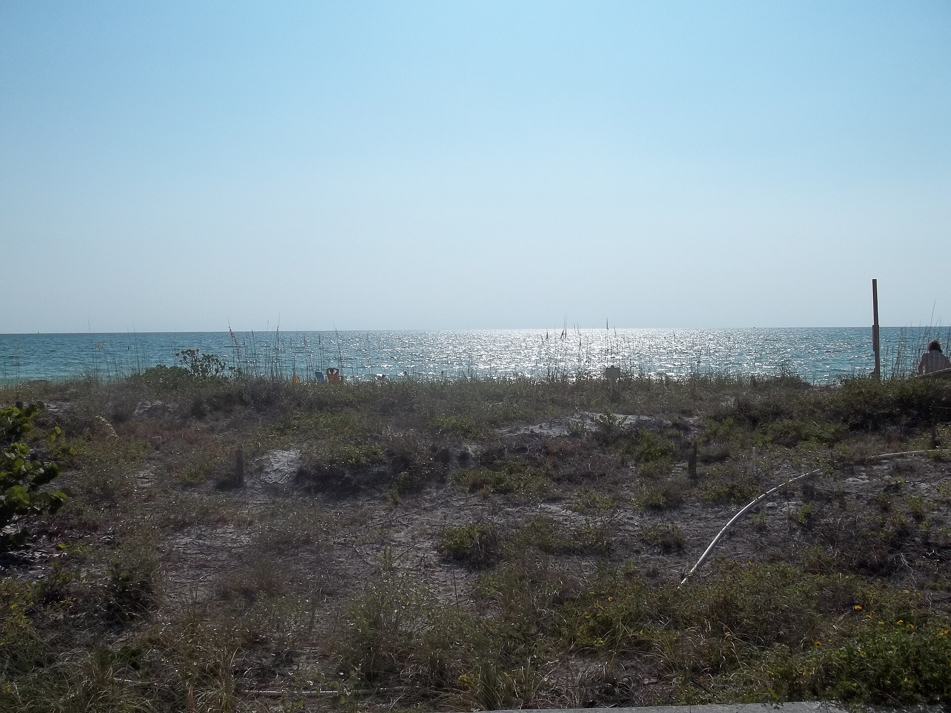 Sea oats and low dune vegetation in the foreground with a narrow strip of white sand and sunlit turquoise Gulf water beyond at Pass-a-Grille