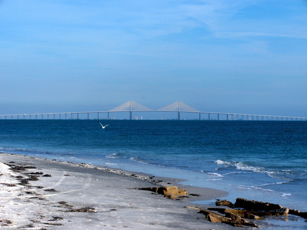 The Sunshine Skyway Bridge seen across the water from a beach at Fort De Soto, with its yellow cable stays