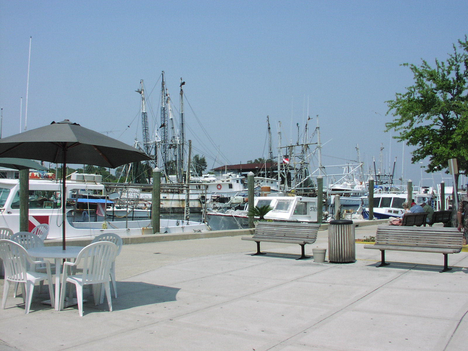 Best Day Trips from Tampa