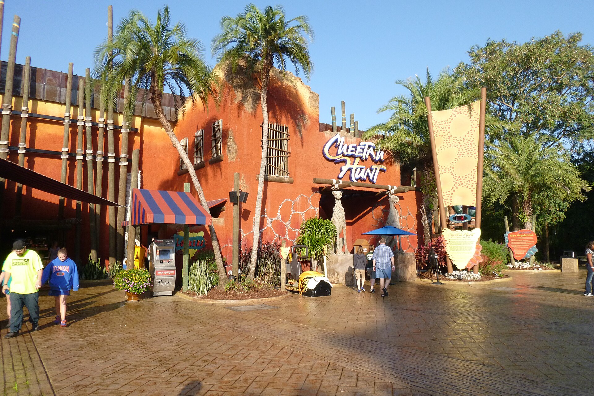 Best Hotels Near Busch Gardens Tampa