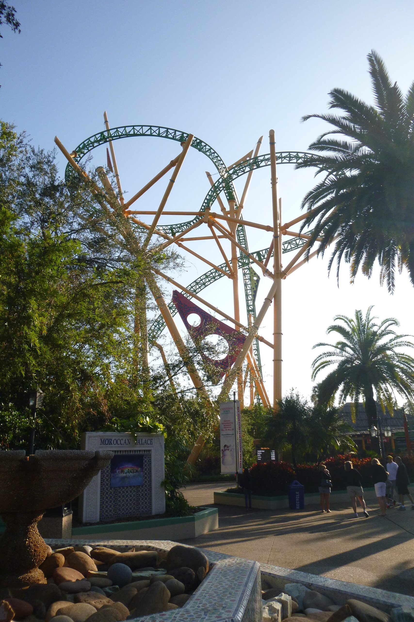 The yellow supports and green track of the Cheetah Hunt roller coaster's figure-eight rising above trees and palms near the Moroccan Palace sign at Busch Gardens Tampa Bay, with visitors walking below