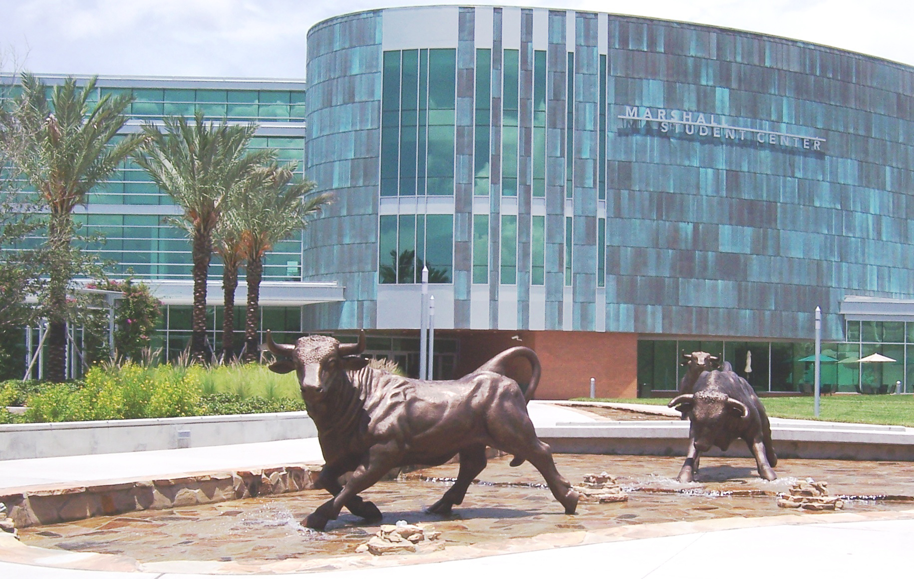 Bronze sculptures of charging bulls in a fountain in front of the curved, green-paneled Marshall Student Center at the University of South Florida in Tampa